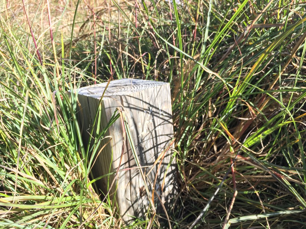 武陵四秀(2015四缺喀_2019喀桃)_689650