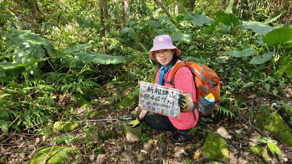 (姨婆趴趴走)第二十一集:桃園復興高遶溪古圳步道、新柑坪山、牛背岩環狀縱走封面圖