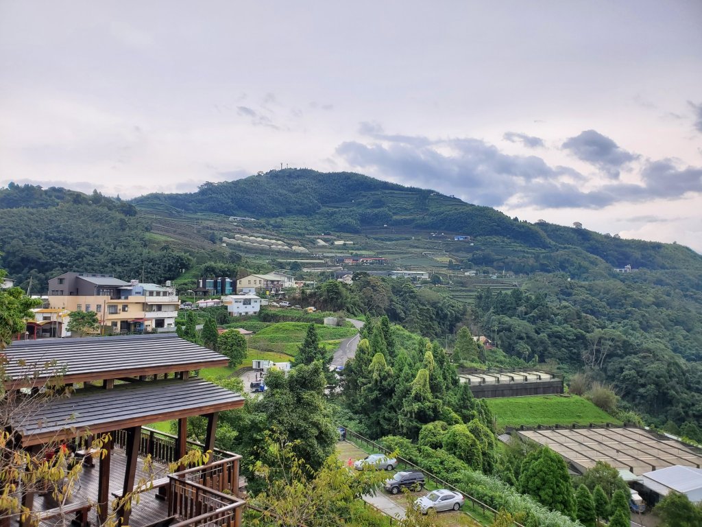 【嘉義 | 特富野】_1069277