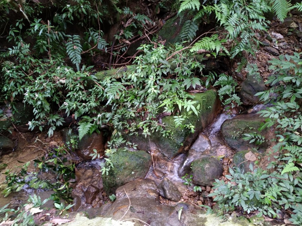 【小百岳14】土庫岳完成-7_1234845