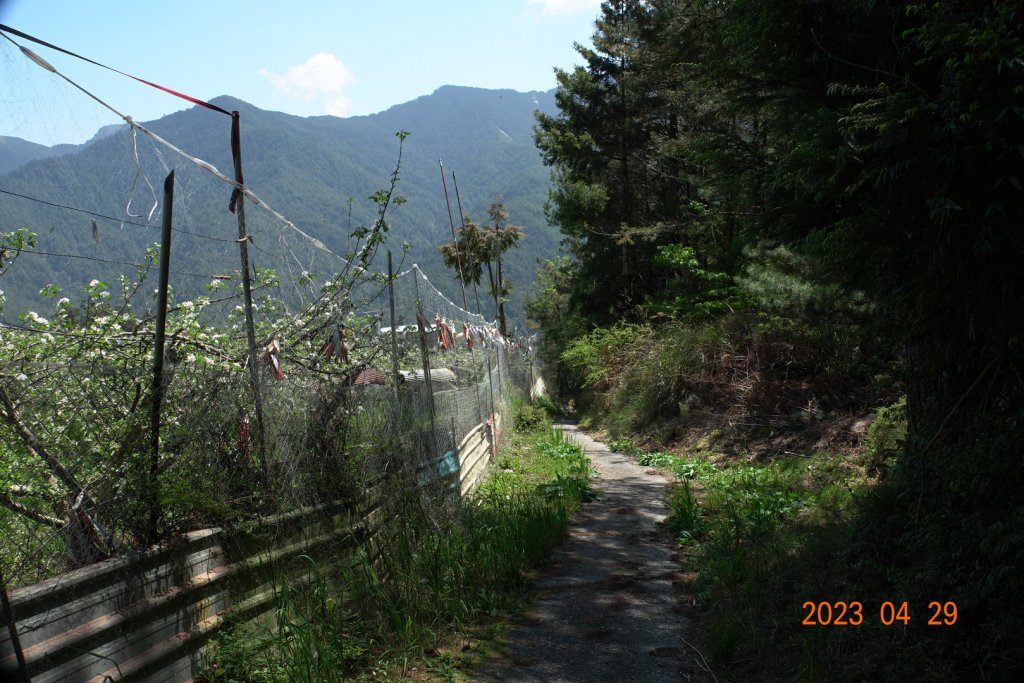 南投 仁愛 武法奈尾山_2133721