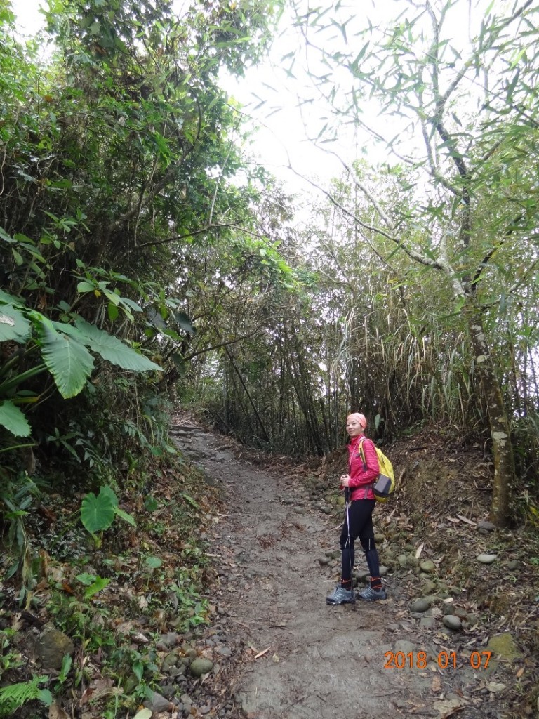 台南第一高山大凍山_240794