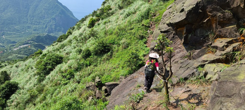 2020-0514半屏山茶壺山金瓜石環形_1066878