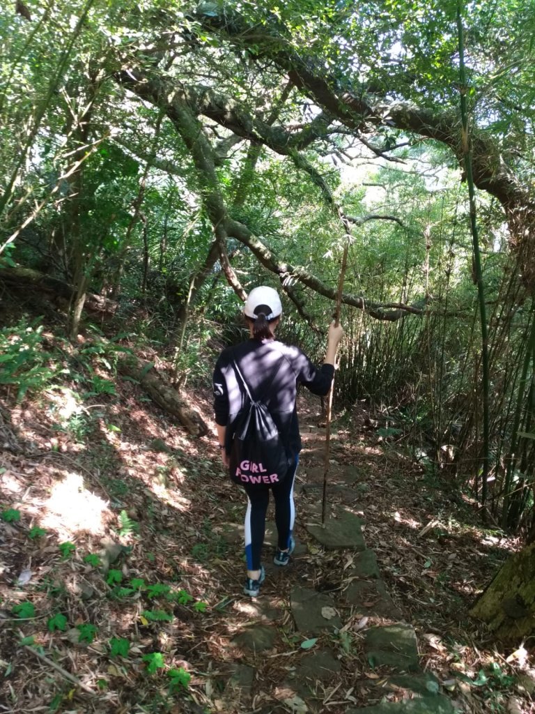 中正山步道封面圖