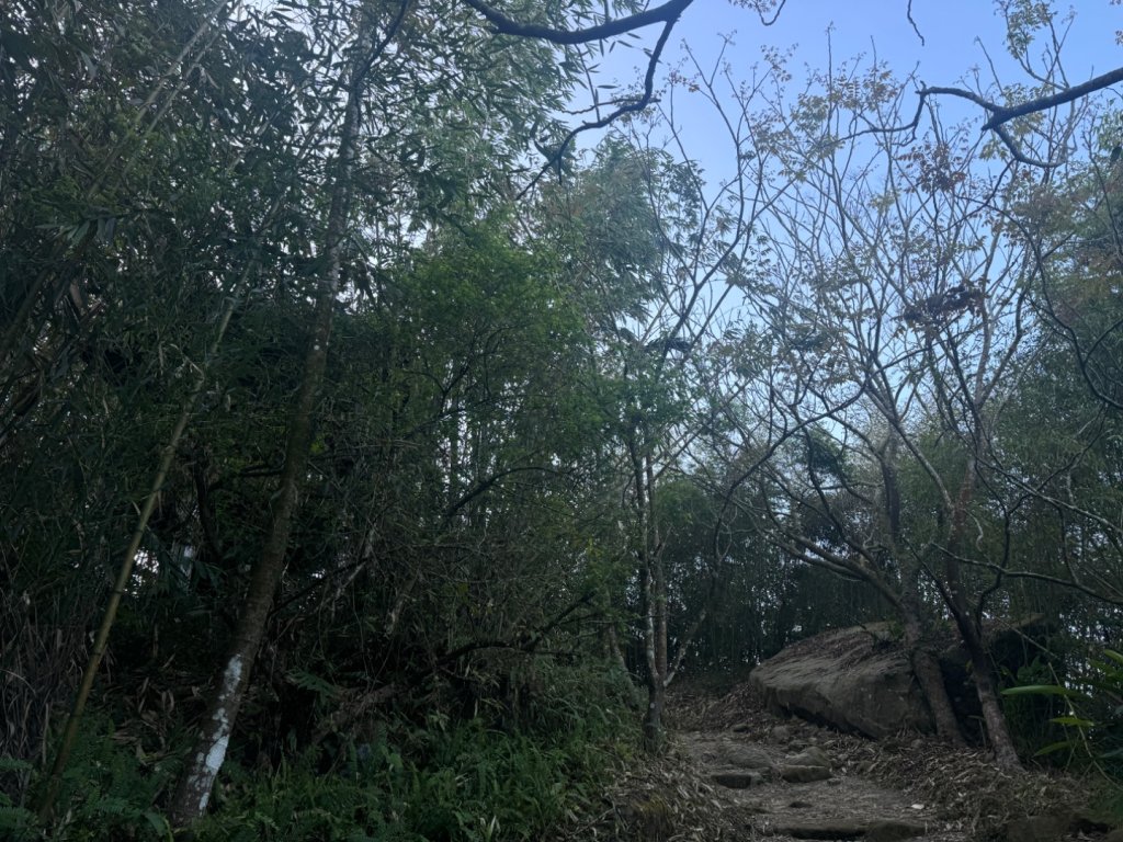 台南市白河區、嘉義縣大埔鄉交界，小百岳63號大棟山ㄧ等三角點_2428568