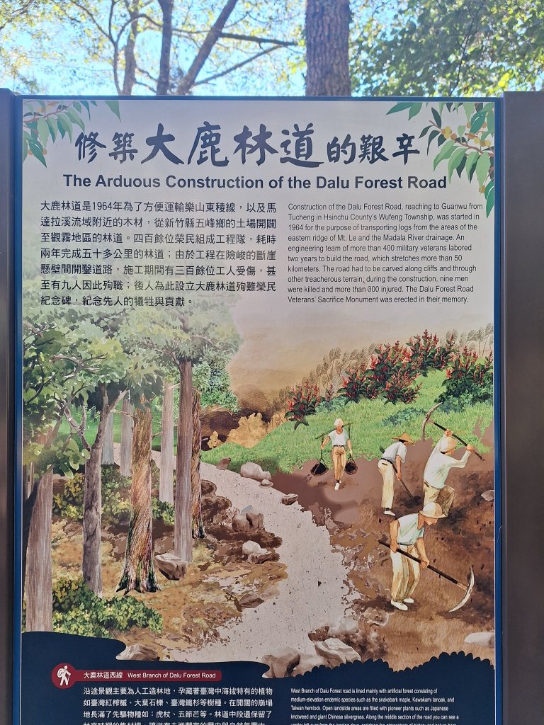 觀霧之榛山O型20241123_2653878