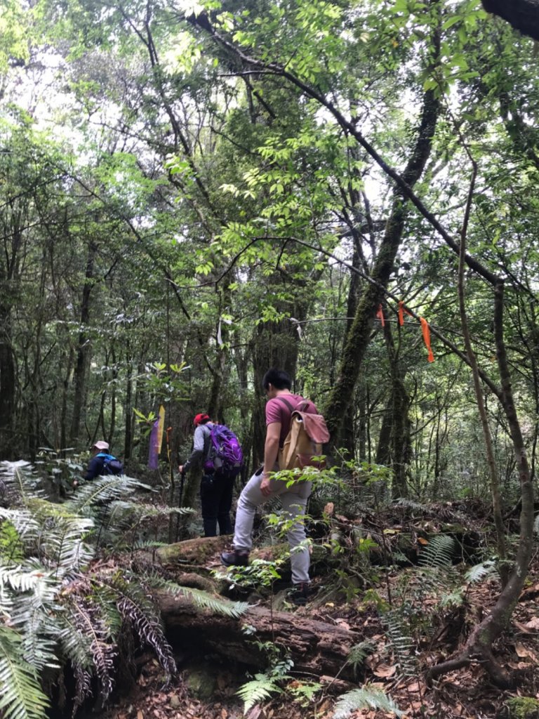 步道巡訪員 l 巡訪日誌-5月鎮西堡A區_956948