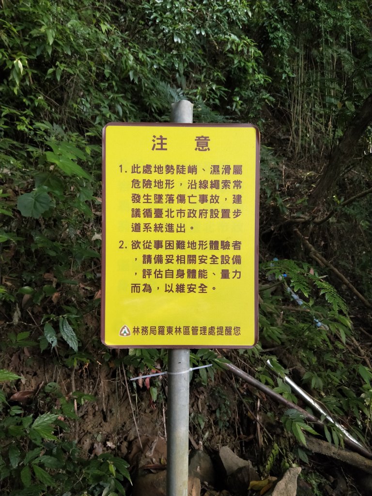 南港山縱走親山步道(拇指山、南港山、象山、九五峰)_1820222