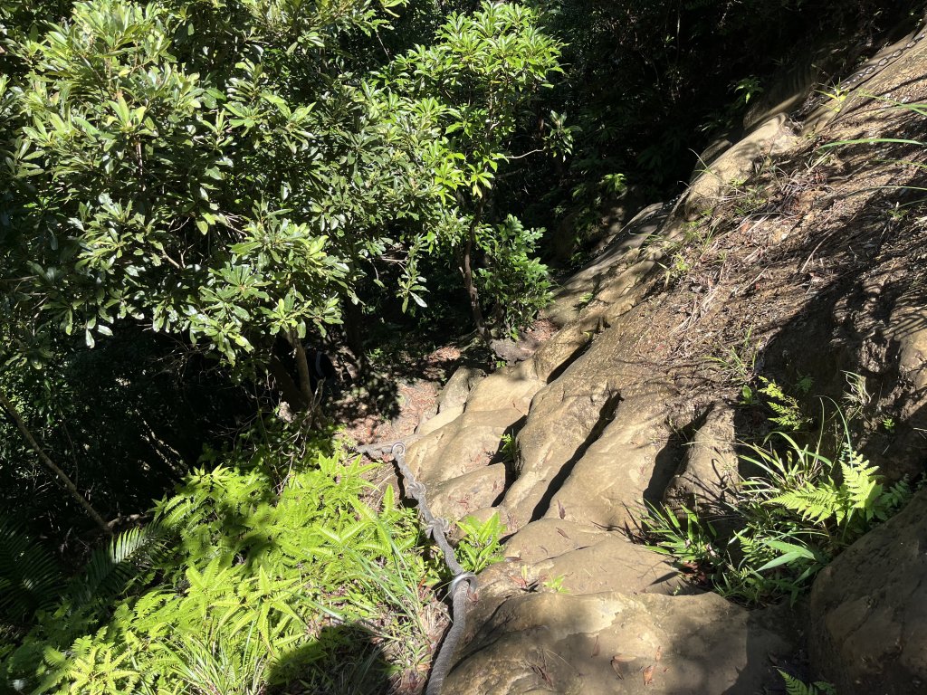 [微笑山線_第九段] 2025_0914 二格山系_天王峰_2889554