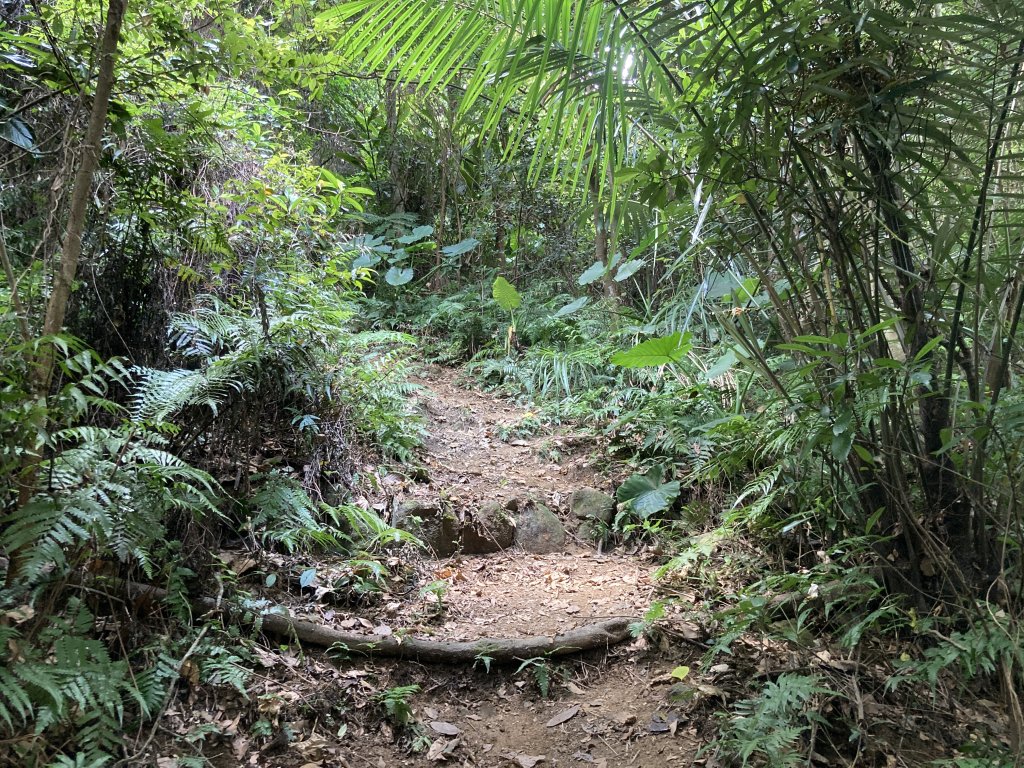 打牛崎古道_2564015