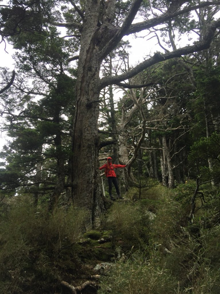 一日畢羊縱走_655487