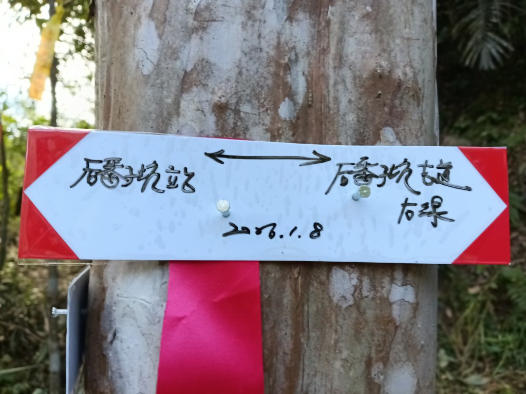 雙溪區大平林山+后番子坑古厝+后番子坑山+武山煤礦事務所+焦炭窯O型_2988678