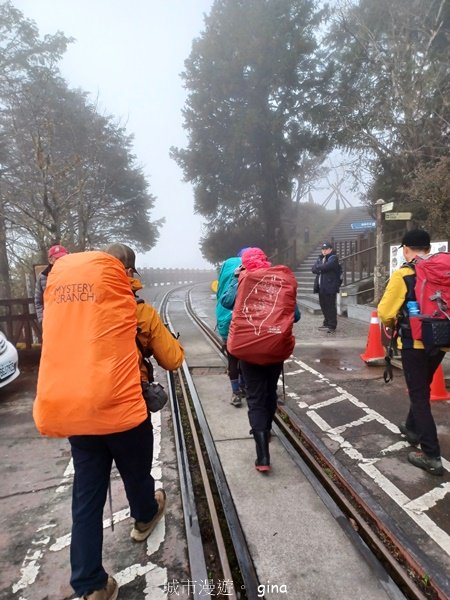 【宜蘭大同】走入魔法森林之仙女散落的珍珠。 太加縱走 (夢幻美的加羅湖)_2469211