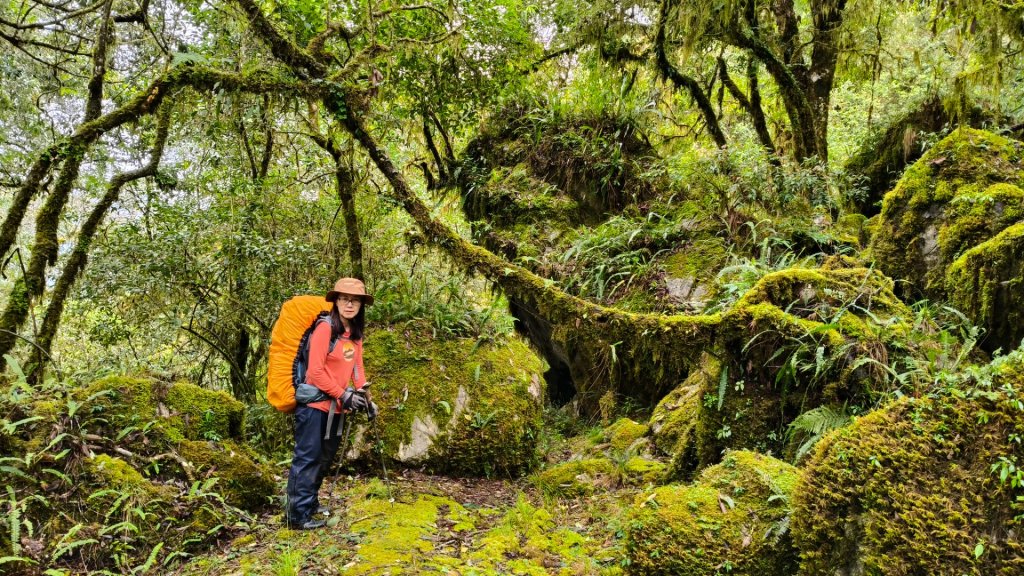 新康五天~戒茂斯進，出瓦拉米_2949755