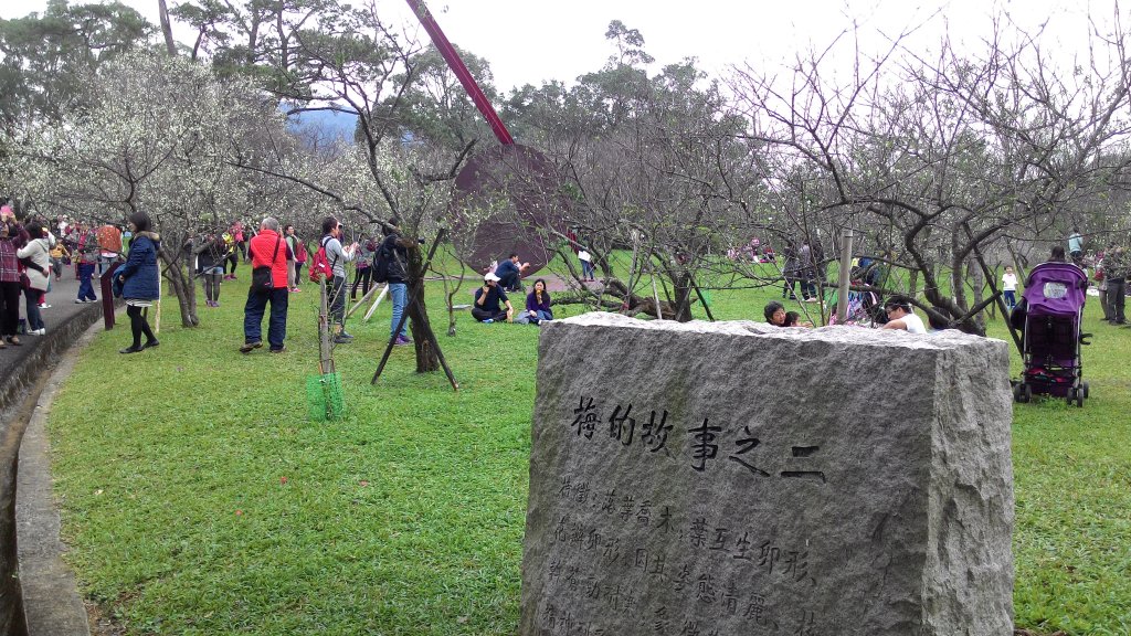 角板山行館梅花季20160110_1961504