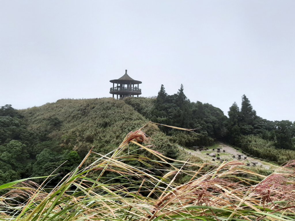 秋日。漫步在雲端_700219