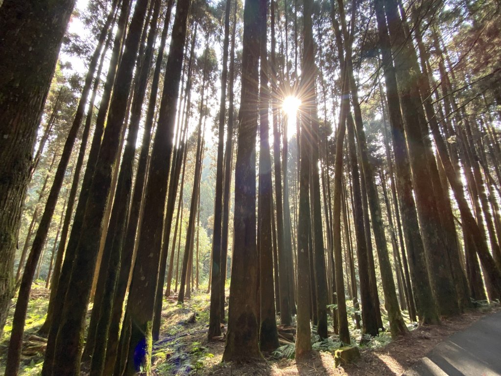 年輕人爬山趣～ 水漾森林X眠月神木 2/25-26 2023_2060713