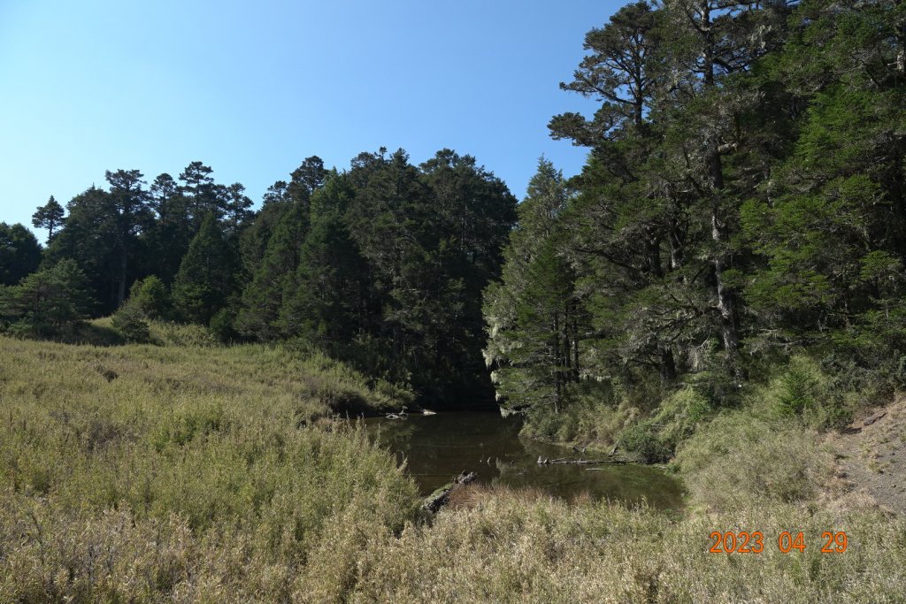 南投 仁愛 武法奈尾山_2133786