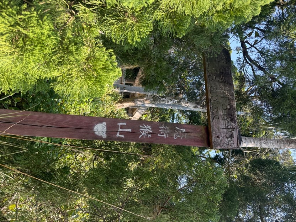 20260221 飛沙新路_3003407
