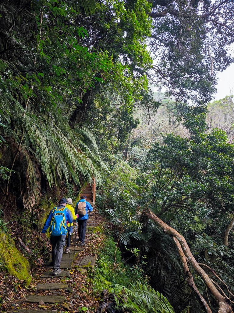 2025-03-08 汶水三山：金童山、汶水山、玉女山 連走_2736501