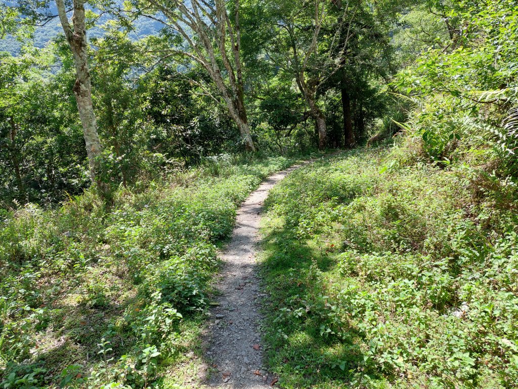 202206瓦拉米步道_1740979