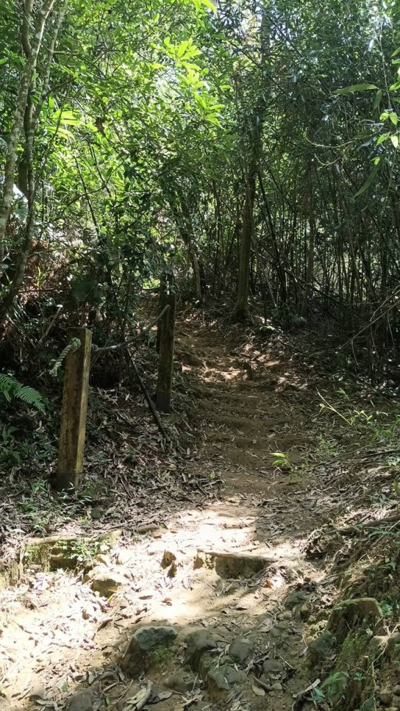 20251004 馬那邦山 - 珠湖 登山口_2904920