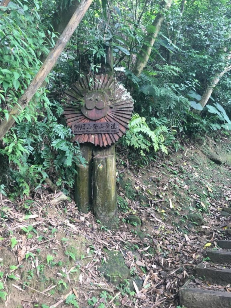 新店小獅山登山步道封面圖