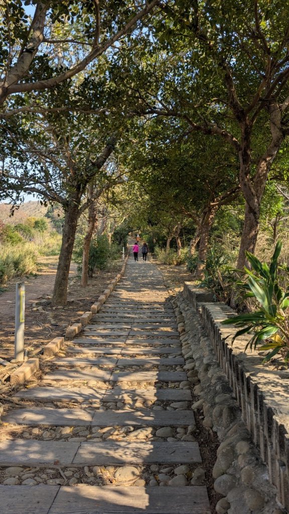 竹坑南寮登山步道_2719383