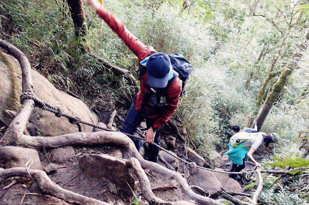 苗栗。加里山 大O型 2018.03.1_293805