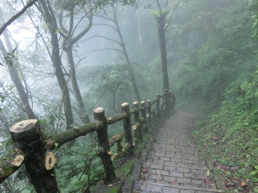 二格山（草湳Ｏ型）_93194