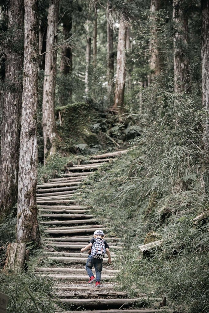 太平山茂興懷舊步道_979007