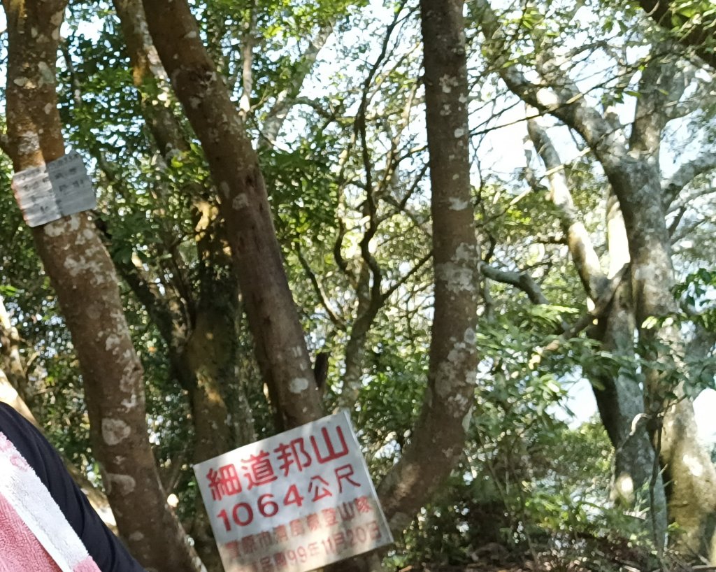 20220312_馬那邦山 細道邦山南峰 細道邦山_1637078