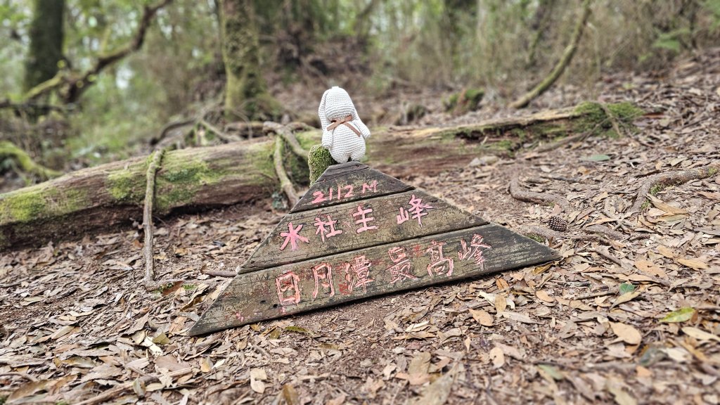 【中級山經典：水社大山、水社主峰】🥾4小時53分的征途，汗水與意志的考驗。封面圖