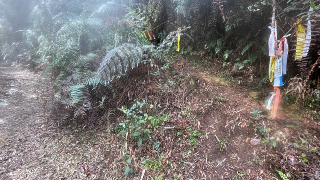 過坑山快閃_2685077