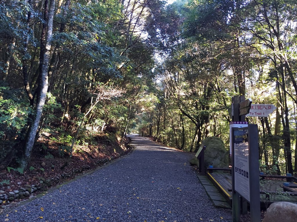 雪見大板根 北坑山_1245051