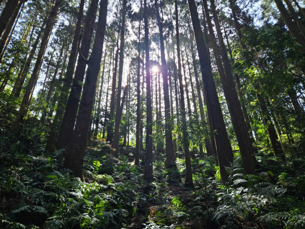 哈堪尼山_2761938