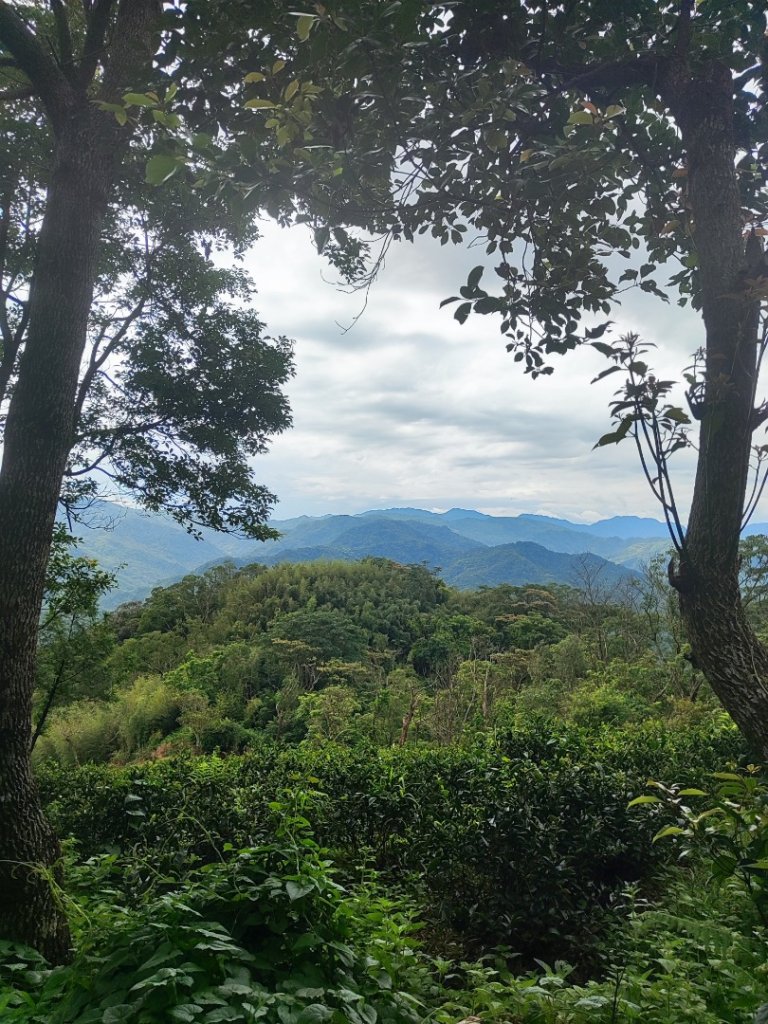 微笑山線之望月亭段_2849031