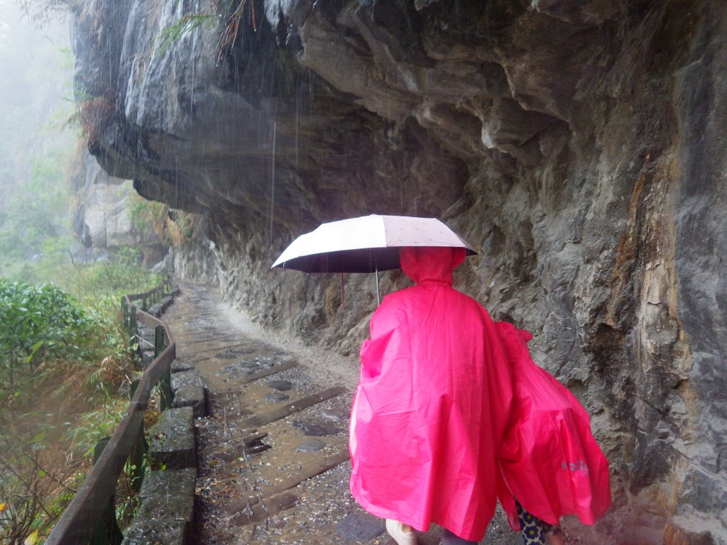 雨中砂卡噹封面圖