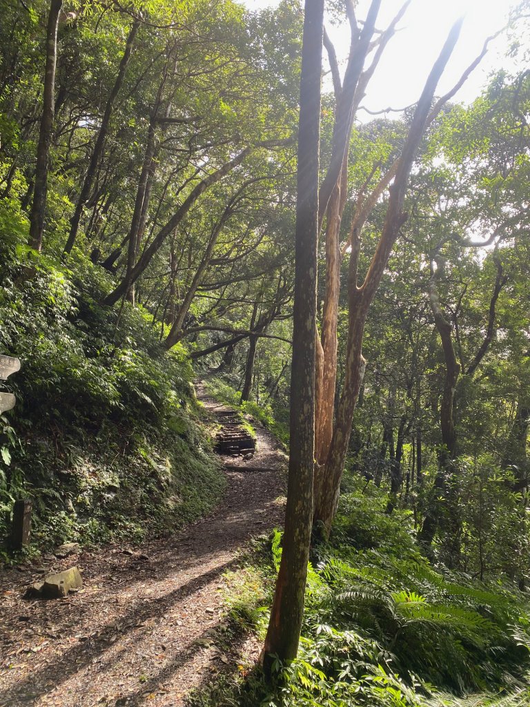 1110131東滿步道_2652328