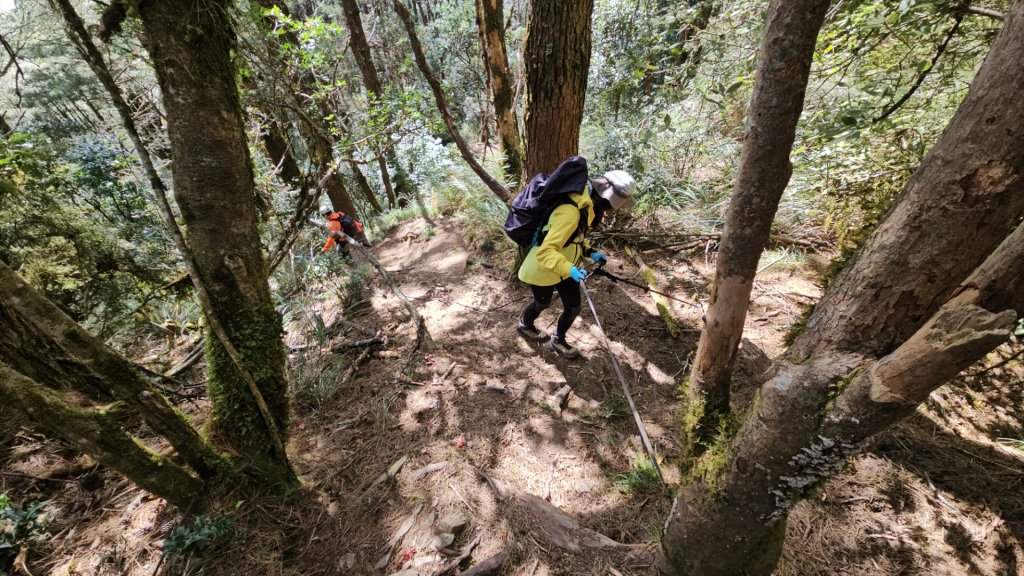 追趕跑跳蹦的羅馬縱走_2666188