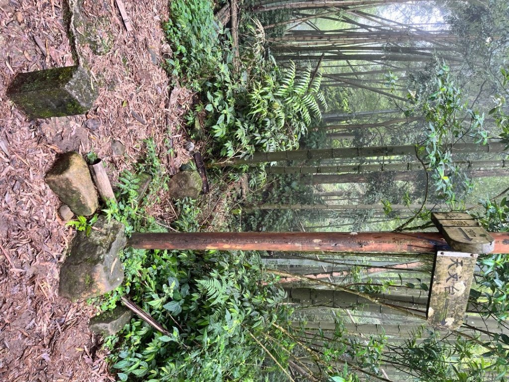 20250525_鳳凰山步道（南投小百岳）_2855881