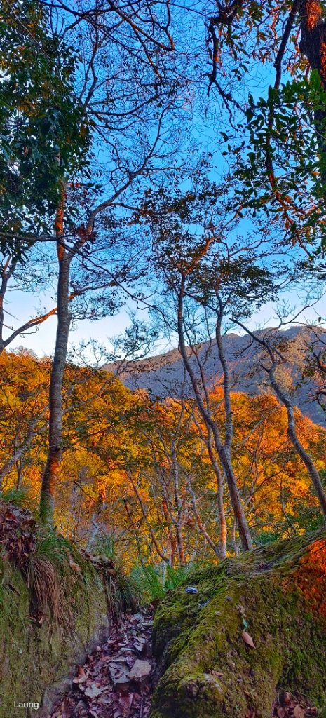 111.12.18 虎山-加里山-虎山（虎加虎縱走）_1959088