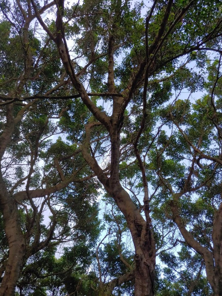 五酒桶山_2237417