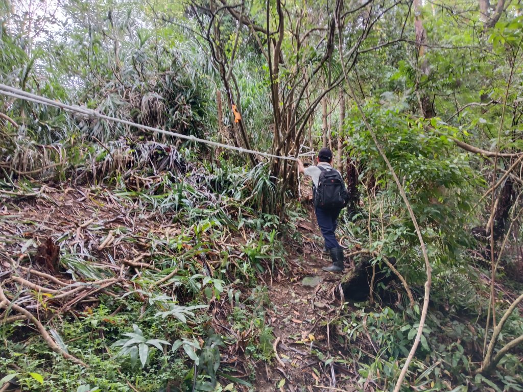 平溪區善覺寺步道+畝畝山北稜線+畝畝山+石硿子瀑布+灰窯瀑布O型_2940025
