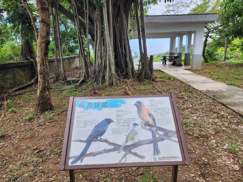 台東｜鯉魚山_2638605