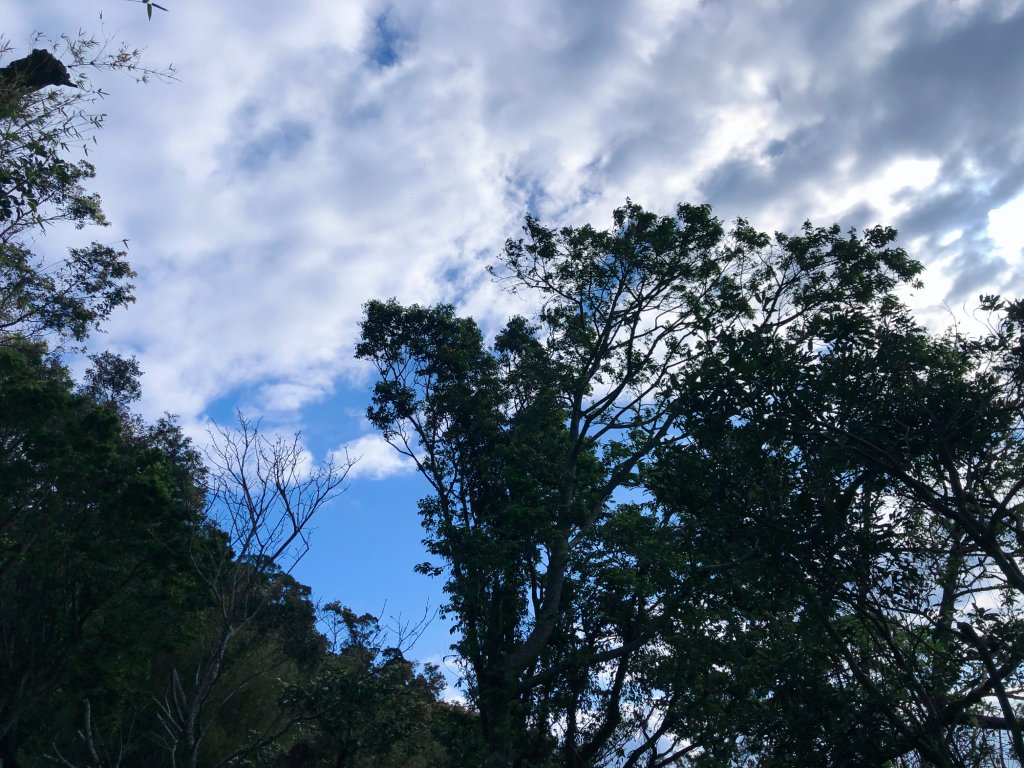 ~ 中 正 山 步 道 ~_2782709