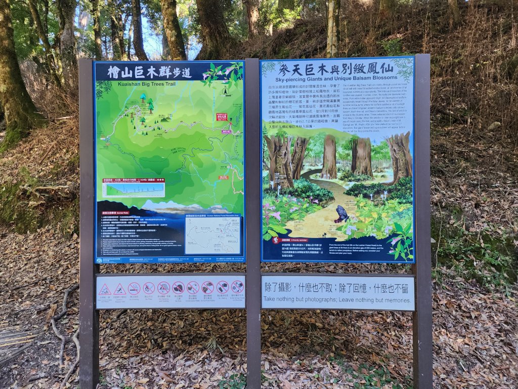 檜山巨木森林步道_2394993