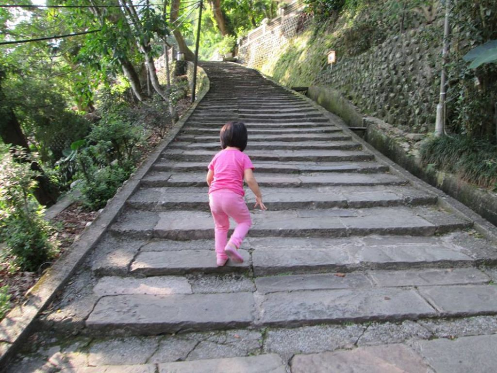 苗栗獅頭山（小百岳）封面圖