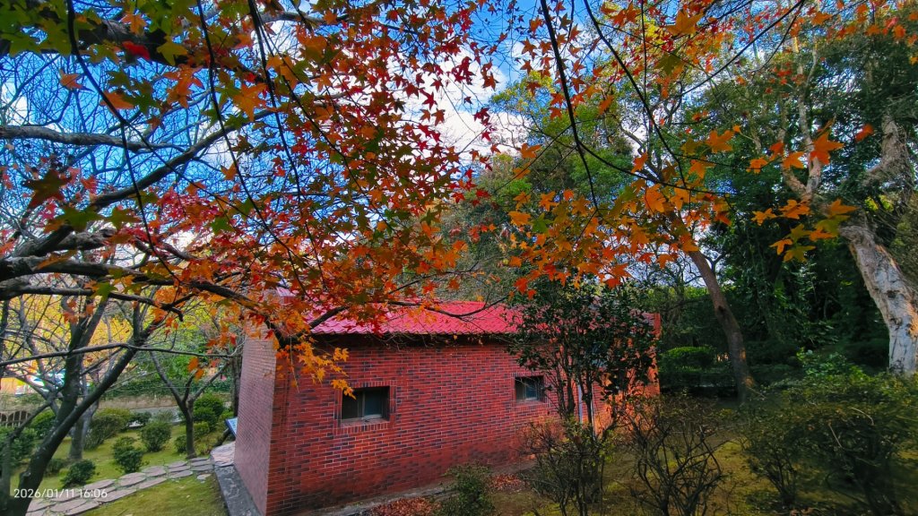 #花卉試驗中心 #永公路500巷 #平菁街42巷 #原住民公園 #士林官邸 1/4_2980398