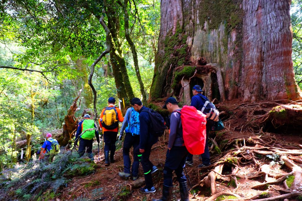 詩情畫意..羅馬縱走_291294